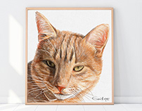 Cat portraits | Custom cat portraits