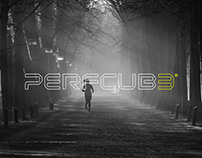 Perfcube - Branding