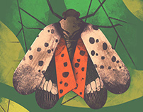 Spotted LanternFly