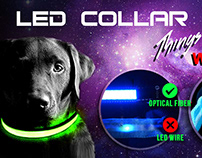 LED Dog Collar Video Review