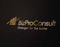 Логотип для компании Biz Pro Consult