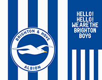Brighton & Hove Albion FC — Amex Stadium Graphics