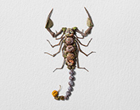 Natura Insects Series V
