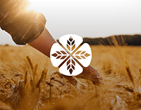 Concept a corporate website for grain grower