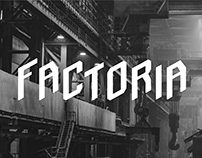 Factoria Font - Typeface