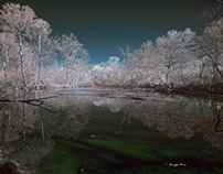 In the Ticino park, infrared.