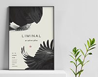 LIMINAL / Visual Identity