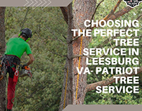 Choosing the Perfect Tree Service in Leesburg VA