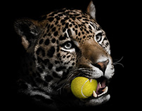 Jaguar Wimbledon