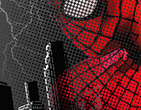 The Amazing Spiderman 2 (Variant)