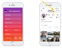 2019 IXDD: instagram Voter Registration API