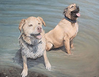 Dogs in Mendocino Lake