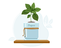 Kitchen Herbs Healthy Blog Illustrations