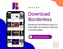 Empower Websites With Borderless WordPress Plugin