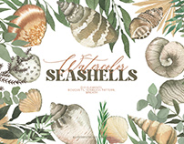 Watercolor Seashells art set