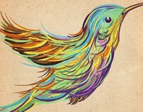 Video Process - Bird Illustration + Tattoo design.