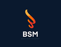 BSM Brand Identity