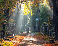 Autumn Rakowicki Cemetery in Krakow