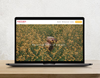 Burt's Bees Website Concept