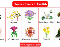 Flowers Name: List of a Flowers Name in English