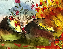Landscape - Watercolors
