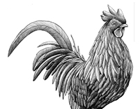 Rooster / Gallo