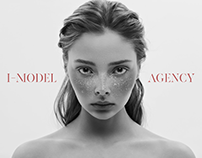 Redesign of the I-Model website