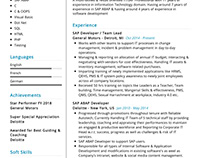 Professional SAP Resume Sample