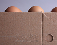 egg box "toaster"