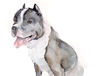 Custom dog portraits