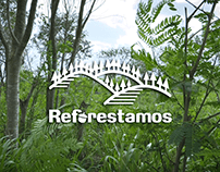 Proyectos de reforestación