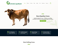 Best Quality Cows | Wordpress Website