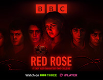 BBC - Red Rose