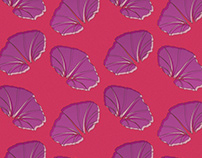 Abstract Psychedelia | Pattern Design