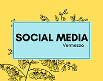 Social Media - Vermezzo
