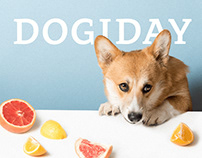 DOGIDAY | Dog Hotel Branding