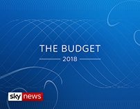 THE BUDGET