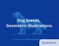 Geometric Illustrations