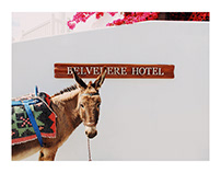 Belvedere Hotel Mykonos: Website Design