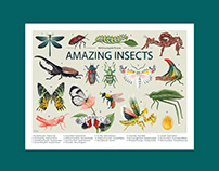 AMAZING INSECTS 2