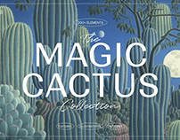 Magic Cactus Graphics by Nomad Visuals