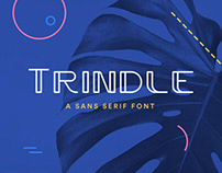 Trindle | Sans Serif Font