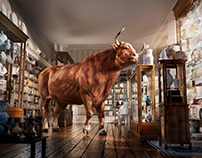 CGI Bull in a China Shop