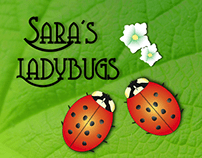 Sara's Ladybugs - Early Childhood Education