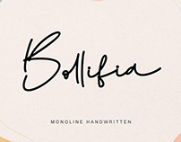 Bollifia Script Font