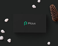 Pitzus - Rebranding & Visual Identity