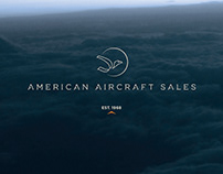American Aircraft Sales: Branding and Web Design