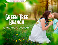 42 Green Tree Branch Photo Overlays