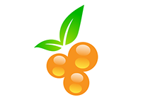 Orange Orchards - Branding