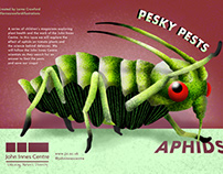 Pesky Pests: APHIDS